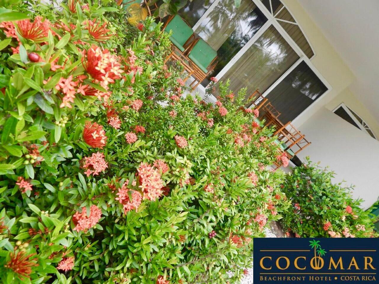 Cocomar Beachfront Hotel Кепос Экстерьер фото